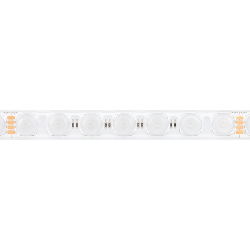 Лента светодиодная герметичная FLT-PS-S42-23mm 24V RGB (21 W/m, IP67, 30deg, 5m) (Arlight, -)
