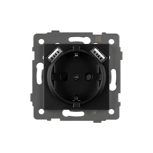 Механизм розетки с USB зарядкой SCT-MUAA-PL-BK-V (250V, 16A) (Arlight, -)