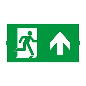Пиктограмма EMGP-DIRECT-UP (Вверх) (Arlight, Пластик)