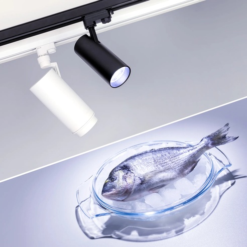 Светильник LGD-GERA-4TR-R90-30W Cool SP7500-Fish (BK, 24 deg, 230V) (Arlight, IP20 Металл, 3 года)