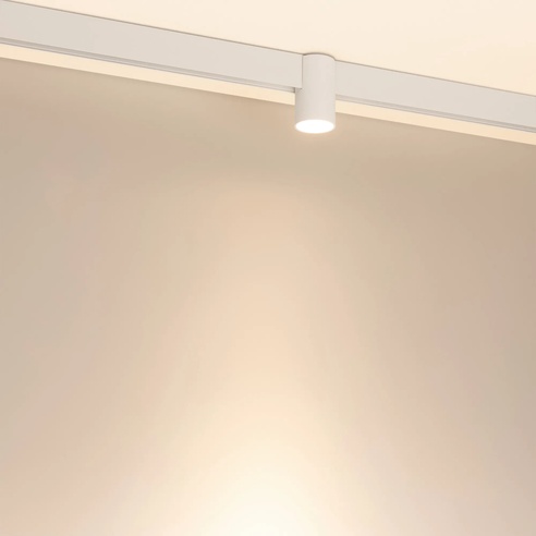 Светильник MAG-ORIENT-AXIO-R60-10W Warm3000 (WH, 24 deg, 48V) (Arlight, IP20 Металл, 5 лет)