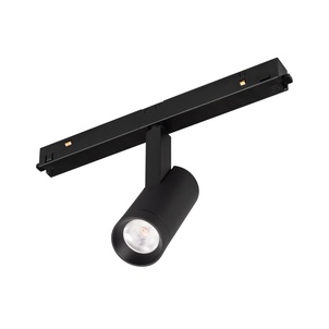 Светильник MAG-ORIENT-SPOT-R35-6W Day4000 (BK, 24 deg, 48V) (Arlight, IP20 Металл, 5 лет)