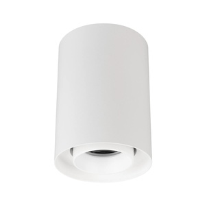 Светильник SP-FOCUS-R86-10W Day4000 (WH, 24 deg, 230V) (Arlight, IP54 Металл, 5 лет)