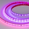 Лента светодиодная герметичная SPI-PS-B60-12mm 24V RGB-PX6-BPT (12 W/m, IP67, 5060, 5m) (Arlight, бегущий огонь)