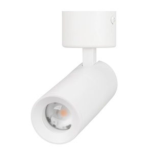 Светильник SP-ARTEMIS-SURFACE-FLAP-R55-12W Day4000 (WH, 8-80 deg, 230V) (Arlight, IP20 Металл, 5 лет)