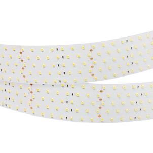 Лента светодиодная RT 2-2500 24V Day4000 5x2 (2835, 875 LED, LUX) (Arlight, 36 Вт/м, IP20)