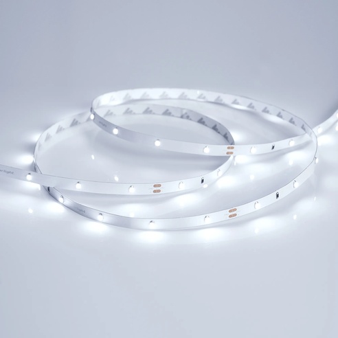 Лента светодиодная RT 2-5000 24V Cool 8K 0.5x (3528, 150 LED, LUX) (Arlight, 2.9 Вт/м, IP20)