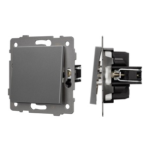 Механизм выключателя одноклавишный непроходной SWT-MK01-PL-GR-V (250V, 10A) (Arlight, -)
