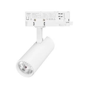 Светильник LGD-GERA-4TR-R55-10W Day4000 (WH, 15 deg, 230V) (Arlight, IP20 Металл, 5 лет)