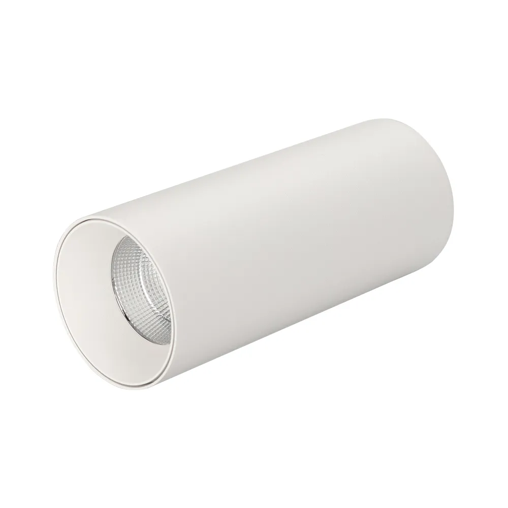 Светильник SP-POLO-SURFACE-R65-8W Warm3000 (WH-WH, 40 deg) (Arlight, IP20 Металл, 5 лет) - изображение товара
